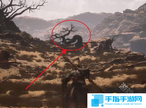 黑神話悟空黃風嶺枕石坪枯松下打坐蒲團尋找路線