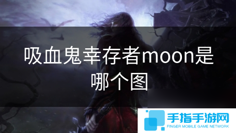 吸血鬼幸存者moon是哪個圖