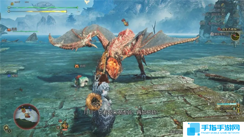 怪物獵人荒野如何捕獲怪物教學(xué)