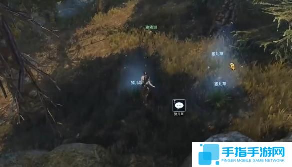 逆水寒手游豬豬迷蹤奇遇怎么過 逆水寒手游豬豬迷蹤奇遇怎么過