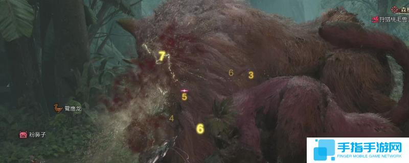 怪物獵人荒野怎么聯機玩大世界狩獵-怪物獵人荒野大世界狩獵聯機教程推薦