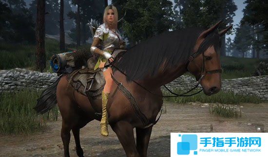 《黑色沙漠》歐美服更新周年活動 新增可馴化馬匹